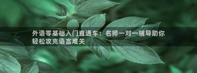 j9九游会导航